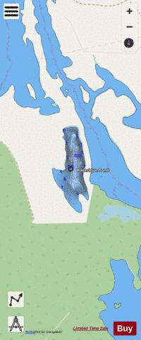 Roderique Pond depth contour Map - i-Boating App - Streets