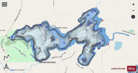 Wabasis Lake depth contour Map - i-Boating App - Streets