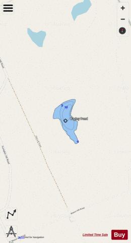 Bagley Pond depth contour Map - i-Boating App - Streets