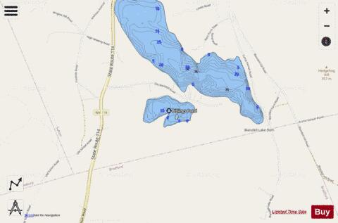 Billings Pond depth contour Map - i-Boating App - Streets