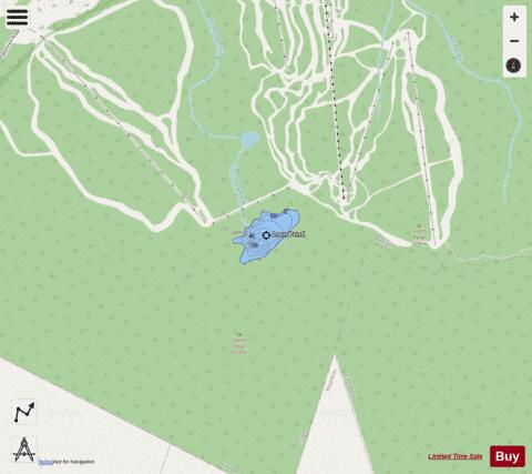 Loon Pond depth contour Map - i-Boating App - Streets